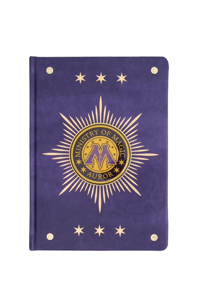 Ministry of Magic Auror Journal