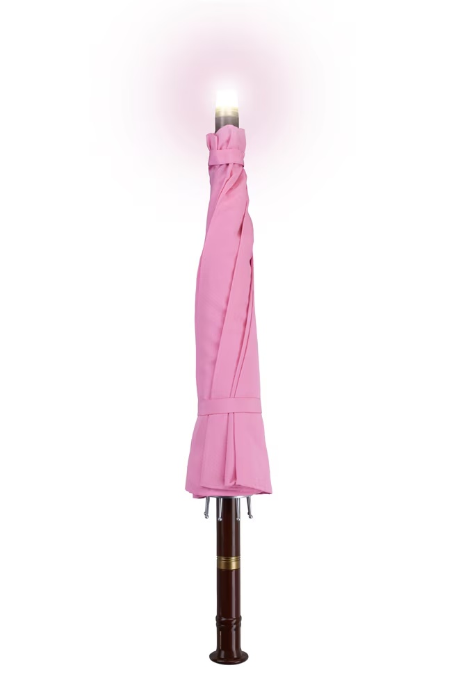 Rubeus Hagridâ¢ Toy Umbrella
