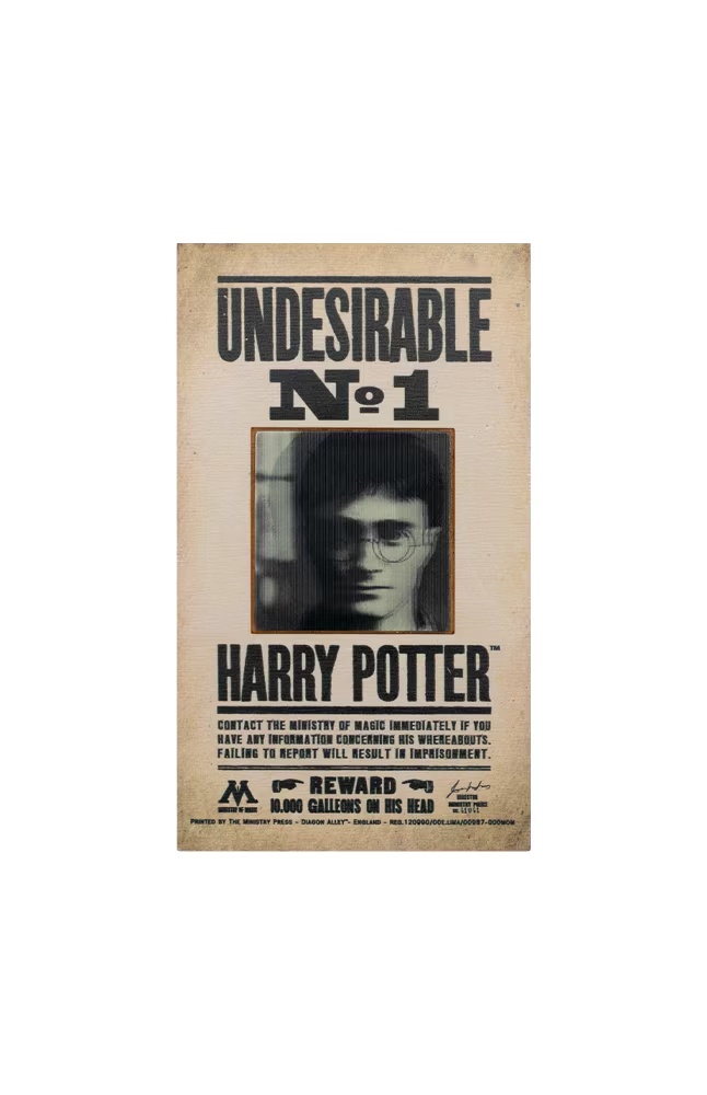 Harry Potterâ¢ Undesirable No. 1 Magnet